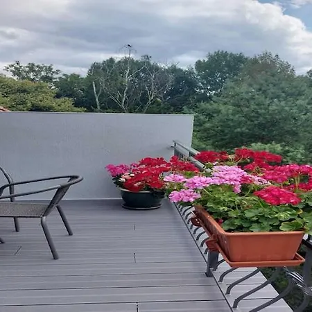 In Near Monte Cassino Street Сопот